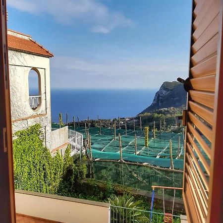 Villa Mariel Suites & Apartment Massa Lubrense Bilik gambar